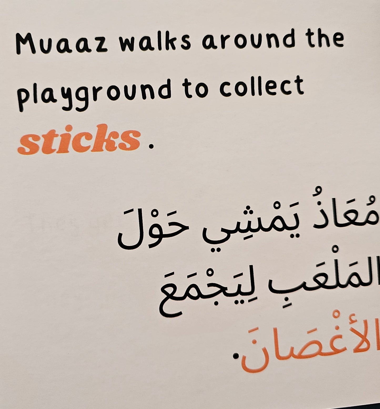 Sticks & Stones - Arabic & English Board Book