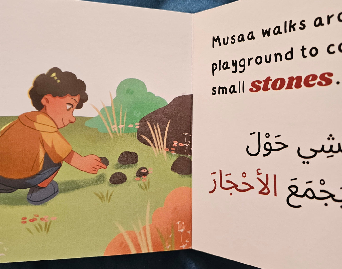 Sticks & Stones - Arabic & English Board Book