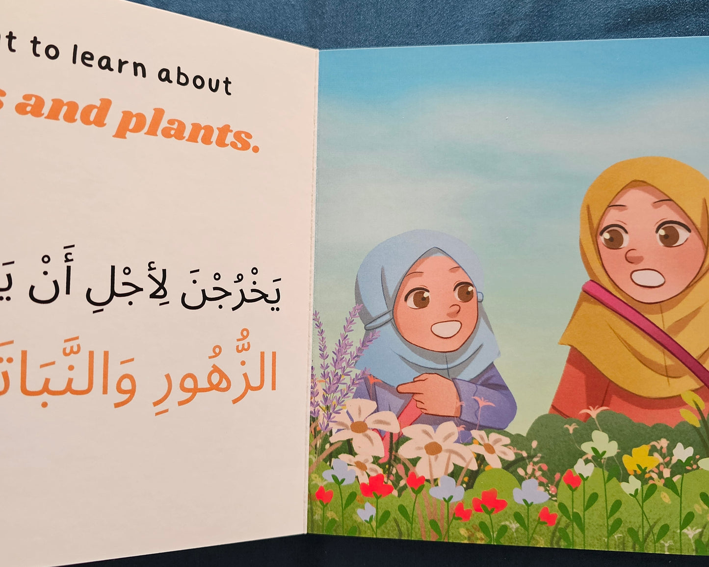 Gardens by the Bay - Arabic & English Board Book