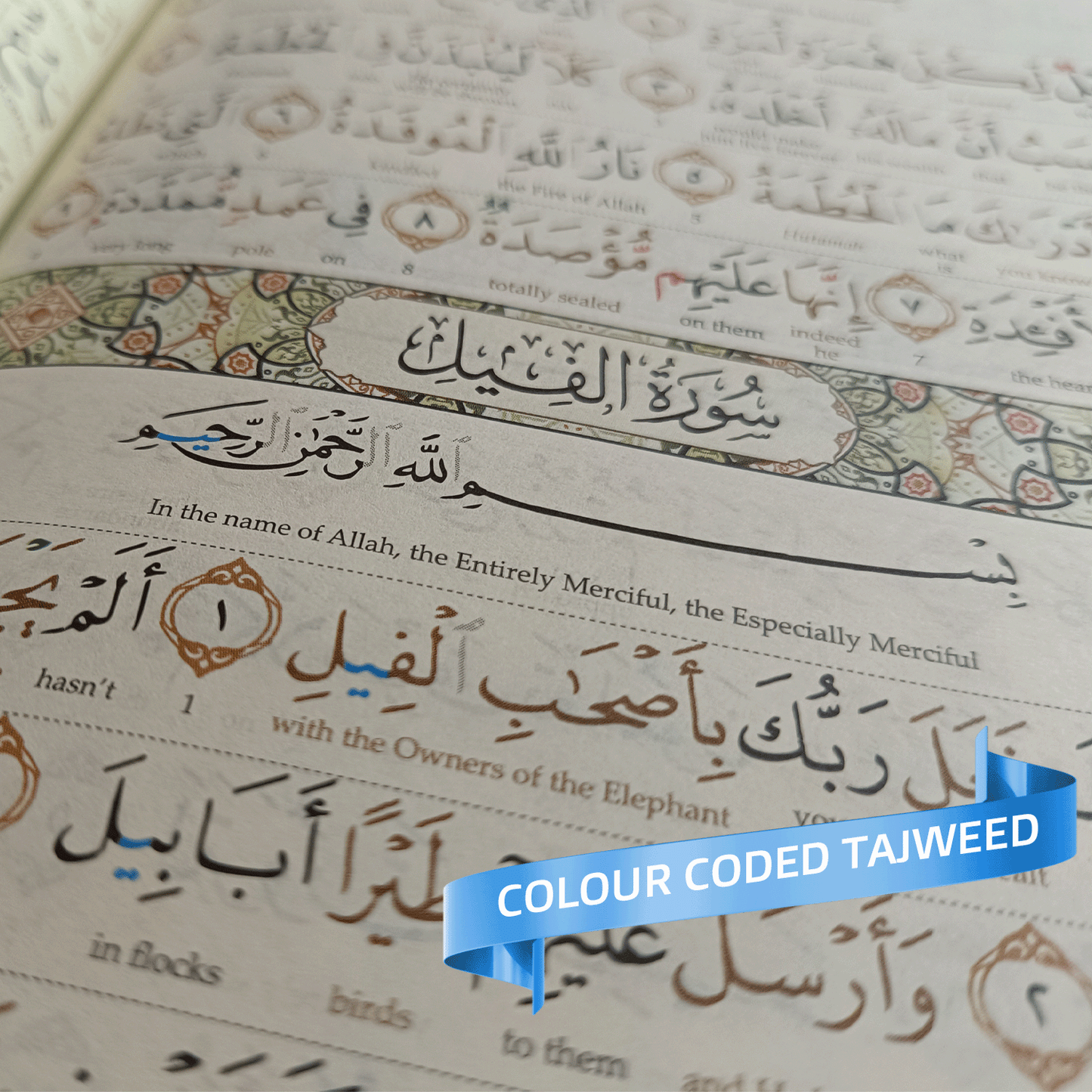 Maqdis Quran - B5: Colour Coded Tajweed & Word for Word Translation